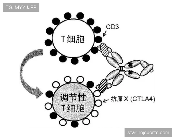 梅西与哈维的进攻角色分化：组织核心与终结者的功能边界解析